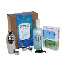 Offrez le Coffret Gin XII : Cadeau Mixologie Parfait