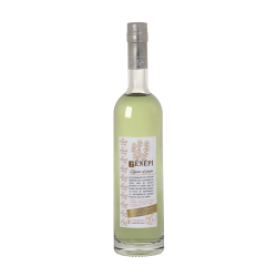Génépi la liqueur des Alpes du sud