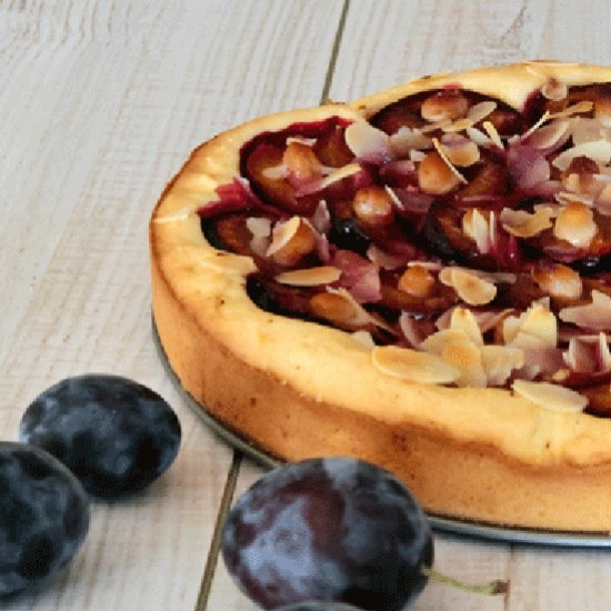 Quetsche Plum Pie Flavored with Anise