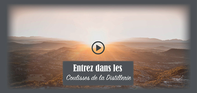Découvrez les coulisses de votre Distrillerie